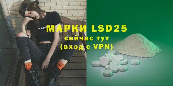 ПСИЛОЦИБИНОВЫЕ ГРИБЫ Бородино