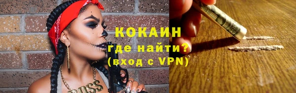 ПСИЛОЦИБИНОВЫЕ ГРИБЫ Бородино
