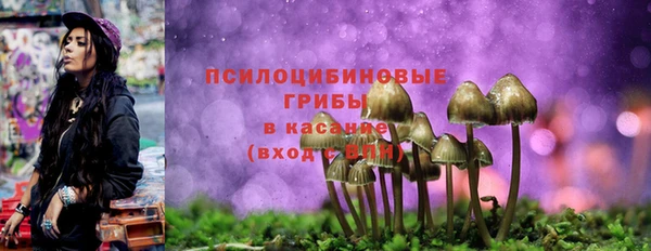 ПСИЛОЦИБИНОВЫЕ ГРИБЫ Бородино