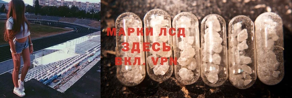 ПСИЛОЦИБИНОВЫЕ ГРИБЫ Бородино