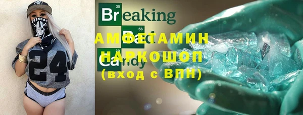 ПСИЛОЦИБИНОВЫЕ ГРИБЫ Бородино