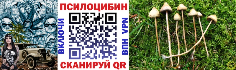 Галлюциногенные грибы ЛСД  маркетплейс состав  Юрюзань  купить наркотики цена 
